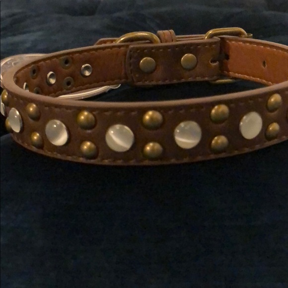 NWT $29 Hip Doggie Faux Pearl Stone Stud Collar M - Picture 3 of 8
